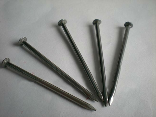 Galvanized Iron Wire Nails